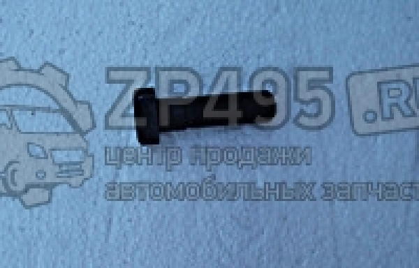 : 6501404 0014649     /   31105 . (, ,,,,, , NEXT, NEXT) saratov.zp495.ru